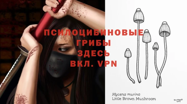 MDMA Беломорск