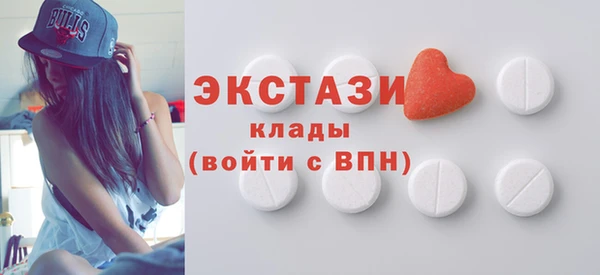 шишки Няндома